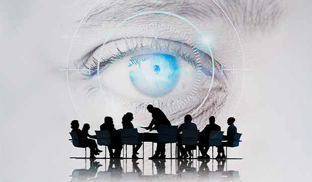 Vision of VERMES 